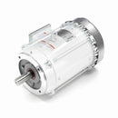 141267.00 Leeson Washguard Motor, 7.5 HP, 3600 RPM-2