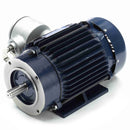 C363A Marathon 2HP Explosion Proof Electric Motor, 1800RPM-1