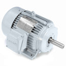 171845.60 Leeson 3HP Grain Dryer / Centrifugal Fan Electric Motor, 1800RPM-1