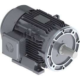 GX3-AL-TF-182TC-2-B-D-3 Techtop 3HP Electric Motor, 3600RPM
