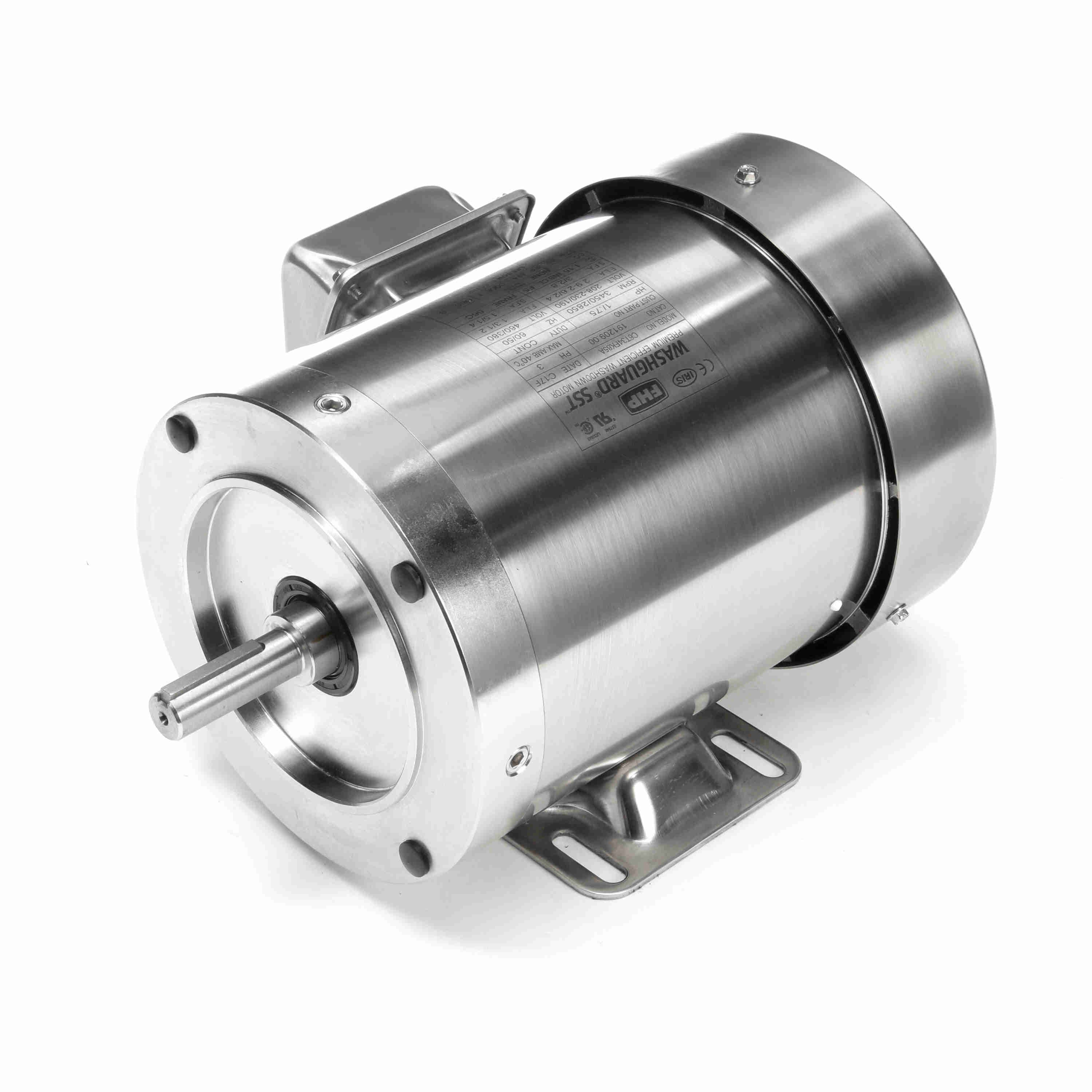 191209.00 1HP Leeson Electric SS Motor, Washdown