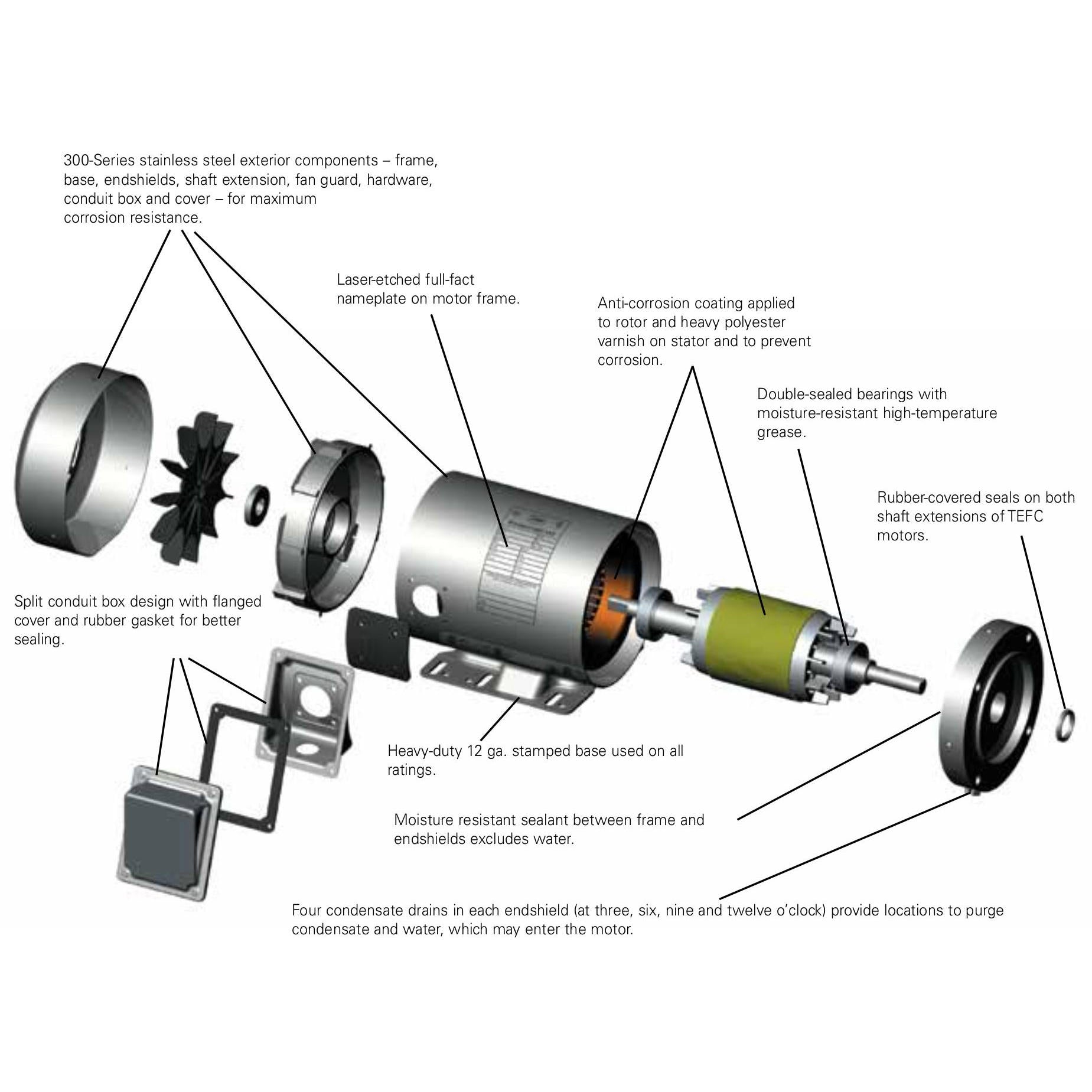 1HP Leeson Electric Stainless Steel Motor, Washdown Duty