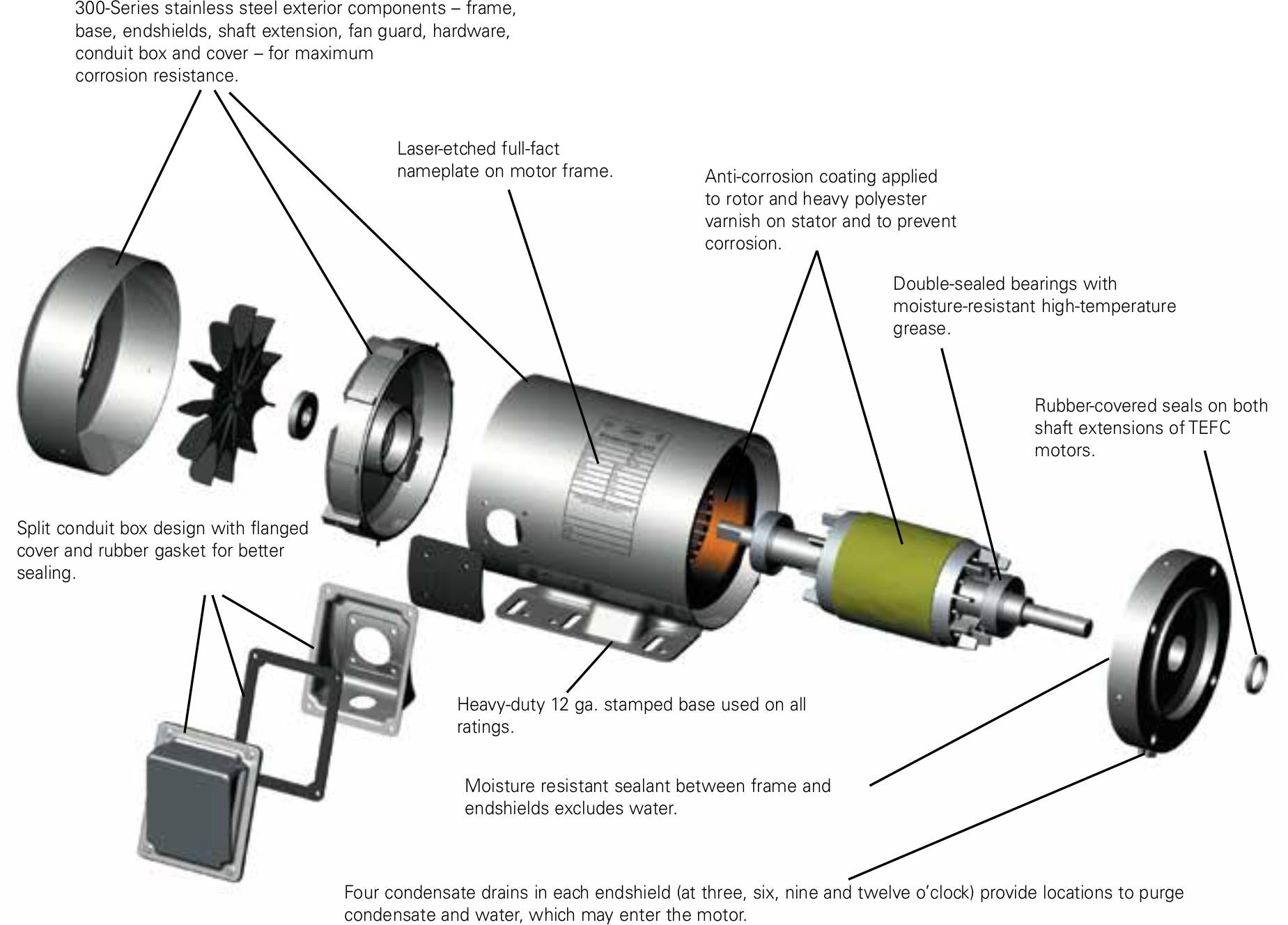 1.5HP Leeson Electric Stainless Steel Motor, Washdown Duty - 0
