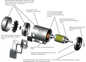 191565.00 1HP Leeson Electric SS Motor, Washdown