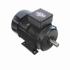 192200.00 Leeson 1HP/0.75kW IEC Metric Electric Motor, 1200RPM