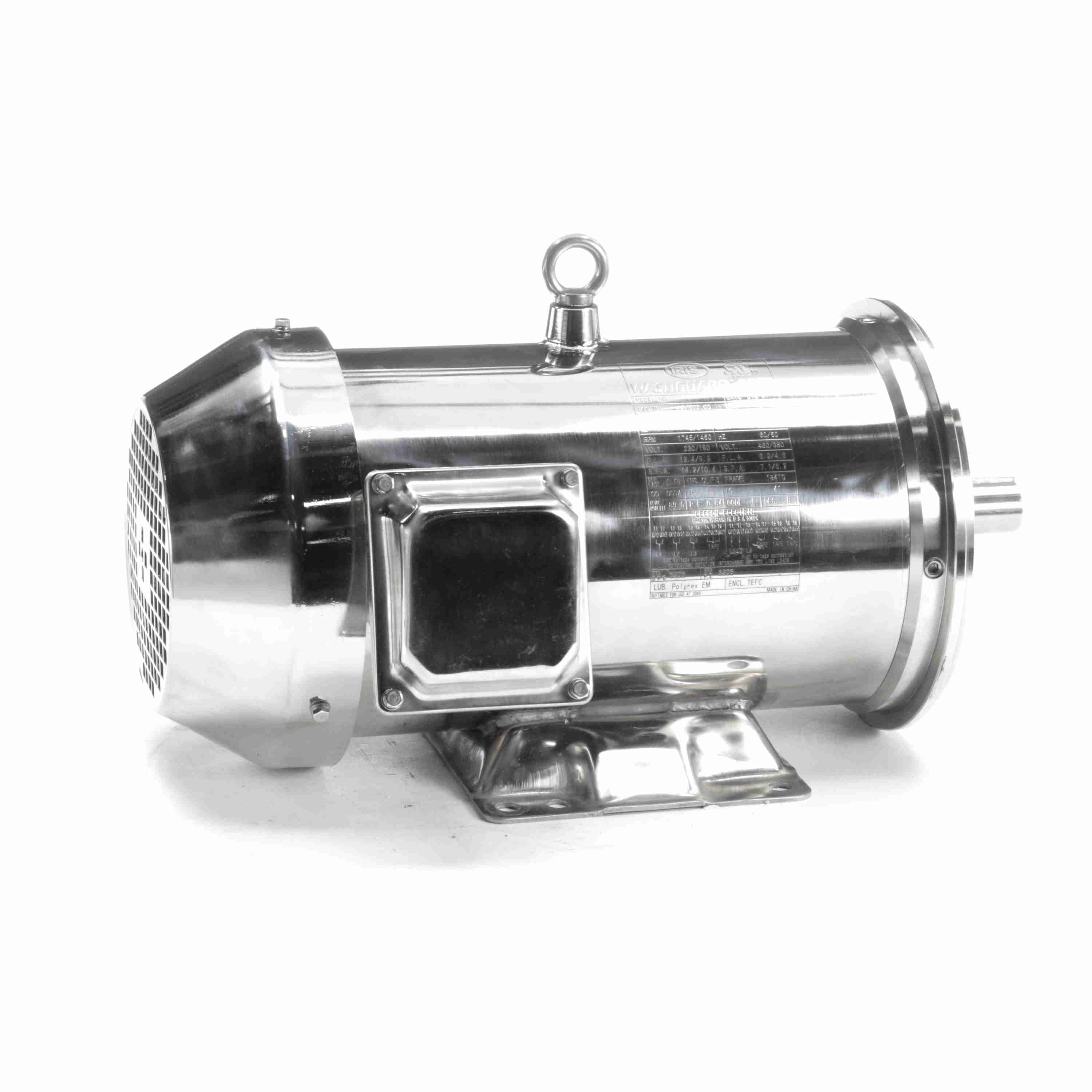194003.00 5HP Leeson Electric SS Motor, Washdown - 0