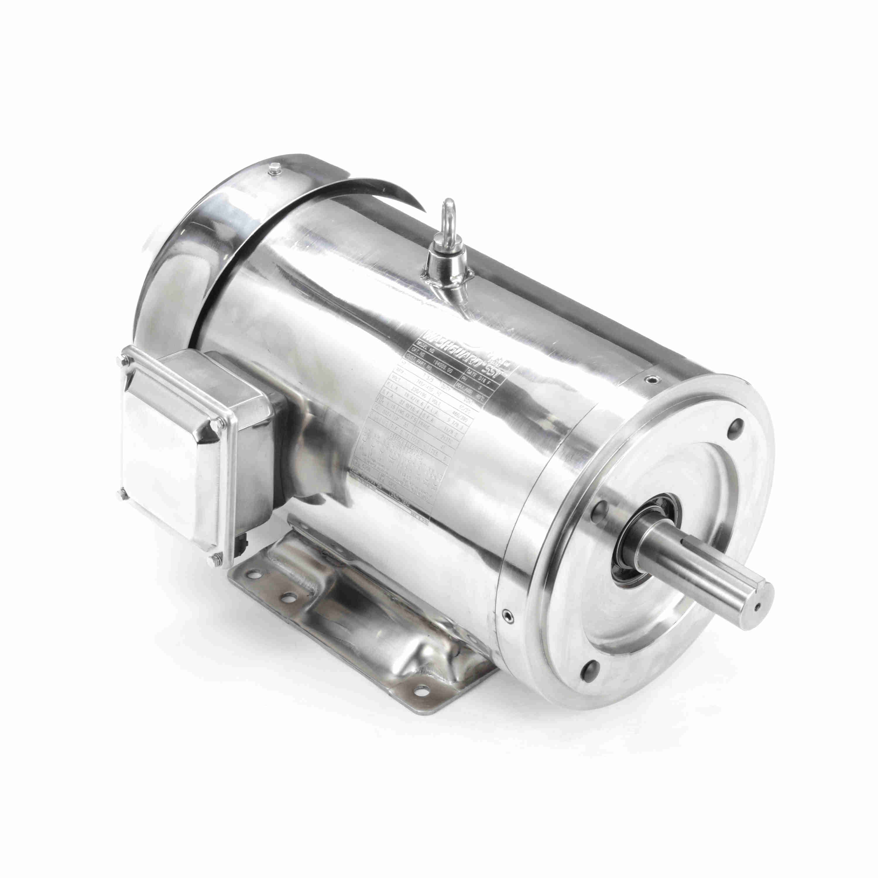 194005.00 7.5HP Leeson Electric SS Motor, Washdown