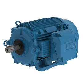 04026EP3QCT365V-W22 WEG 10/40HP Cooling Tower Electric Motor, 600/1200RPM