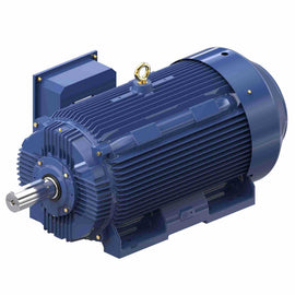 GT1056A Marathon 200HP Globetrotter Electric Motor, 1200RPM