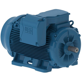 20009ET3G449T-W22 WEG 200HP Severe Duty Electric Motor, 900RPM