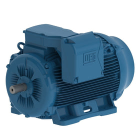 22036ET3Y315L-W22 WEG 300HP/220kW IEC TRU-Metric Electric Motor, 3600RPM