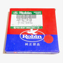 2265071508 Robin Spiral Spring-1