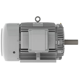 EP0504 Teco-Westinghouse 50 HP Cast Iron Electric Motor, 1800 RPM