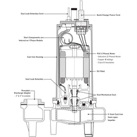SWFD200M6-20 Ashland 2HP Sewage Pump, 208VAC 3 Phase