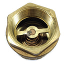 Kitz #36 Bronze Check Valve, 2" NPT Threaded-4
