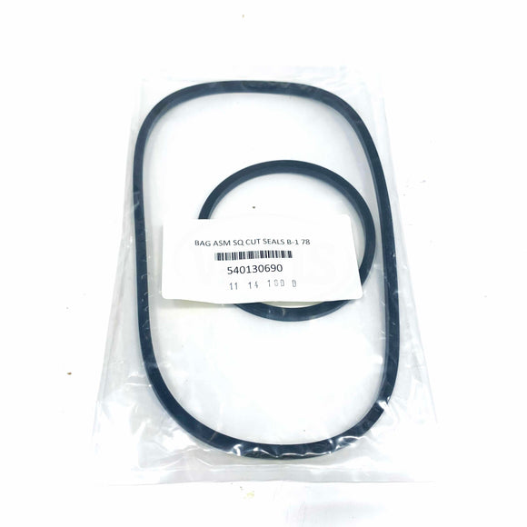 385-800-205 Weil-Mclain Section Assembly Kit