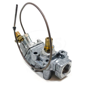 4060-001 Robertshaw Domestic Gas Safety Valve, MSA