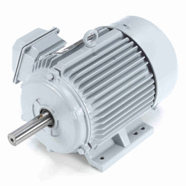 171845.60 Leeson 3HP Grain Dryer / Centrifugal Fan Electric Motor, 1800RPM