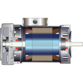 1311017195 WEG/Bluffton 3HP PickerPlus Washdown Electric Motor, 1725RPM