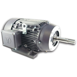 GR3-AL-TF-215JP-2-B-D-10 Techtop 10HP JP Pump Motor, 3600RPM