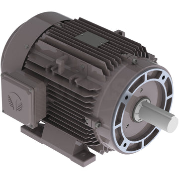 GX3-AL-TF-213TC-6-B-D-3 Techtop 3HP Electric Motor, 1200RPM
