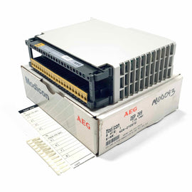 DEP 209 AEG Modicon Input Module 115VAC
