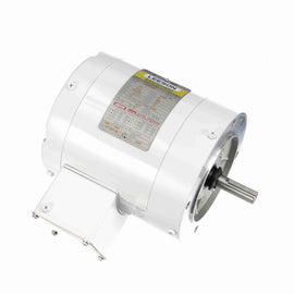 113954.00 Leeson Washguard Motor, 1/3 HP, 1800 RPM