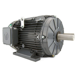 GR3-AL-TF-182T-2-B-D-3 Techtop 3HP Electric Motor, 3600RPM