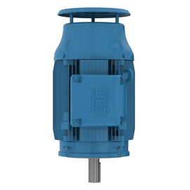 06018ET3ER364TC-W22 WEG 60HP Severe Duty Electric Motor, 1800 RPM