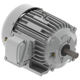EP00265 Teco-Westinghouse 2 HP Cast Iron Electric Motor, 1200 RPM