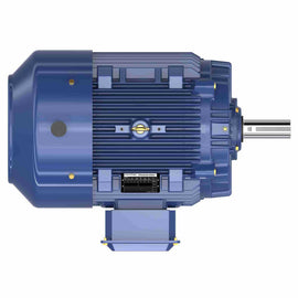 GT1034A Marathon 40HP Globetrotter Electric Motor, 1800RPM