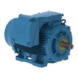 20012ET3GKD505Z-W22 WEG 200HP Crusher Duty Electric Motor, 1200RPM