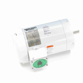 119473.00 Leeson Washguard Motor, 3 HP, 3600 RPM