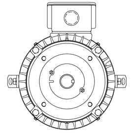 NPV0036C Teco-Westinghouse 3HP MAX-PE Cast Iron Electric Motor, 1200RPM