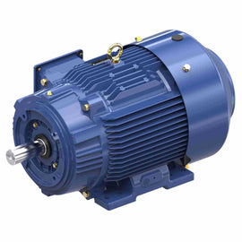 GT1225A Marathon 20HP Globetrotter Electric Motor, 1800RPM