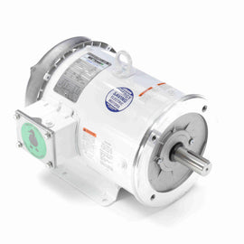132199.00 Leeson Washguard Motor, 3 HP, 3600 RPM