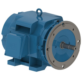 06036OT3E326JM-W40 WEG 60HP JM Close-Coupled Pump Electric Motor, 3600RPM