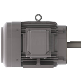 NP0036C Teco-Westinghouse 3HP Cast Iron Electric Motor, 1200 RPM