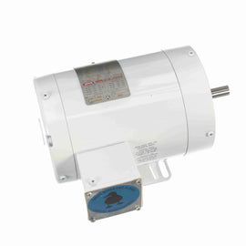 113590.00 Leeson Washguard Motor, 1 HP, 3600 RPM