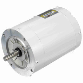 113019.00 Leeson Washguard Motor, 3/4 HP, 1800 RPM
