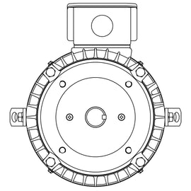 NPV0102C Teco-Westinghouse 10HP MAX-PE Cast Iron Electric Motor, 3600RPM