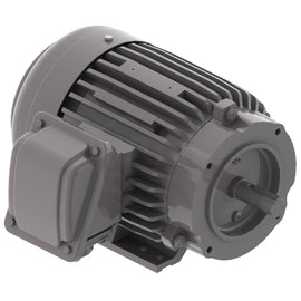 NP0016C 1 HP Teco-Westinghouse Cast Iron Electric Motor, 1200 RPM