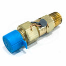 B12-054 Superior Pressure Relief Valve, 235psi, 5/8"-4