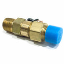 B12-054 Superior Pressure Relief Valve, 235psi, 5/8"-3