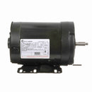 B596 Century 1/2HP Milk Pump Duty Electric Motor, 3600RPM-1