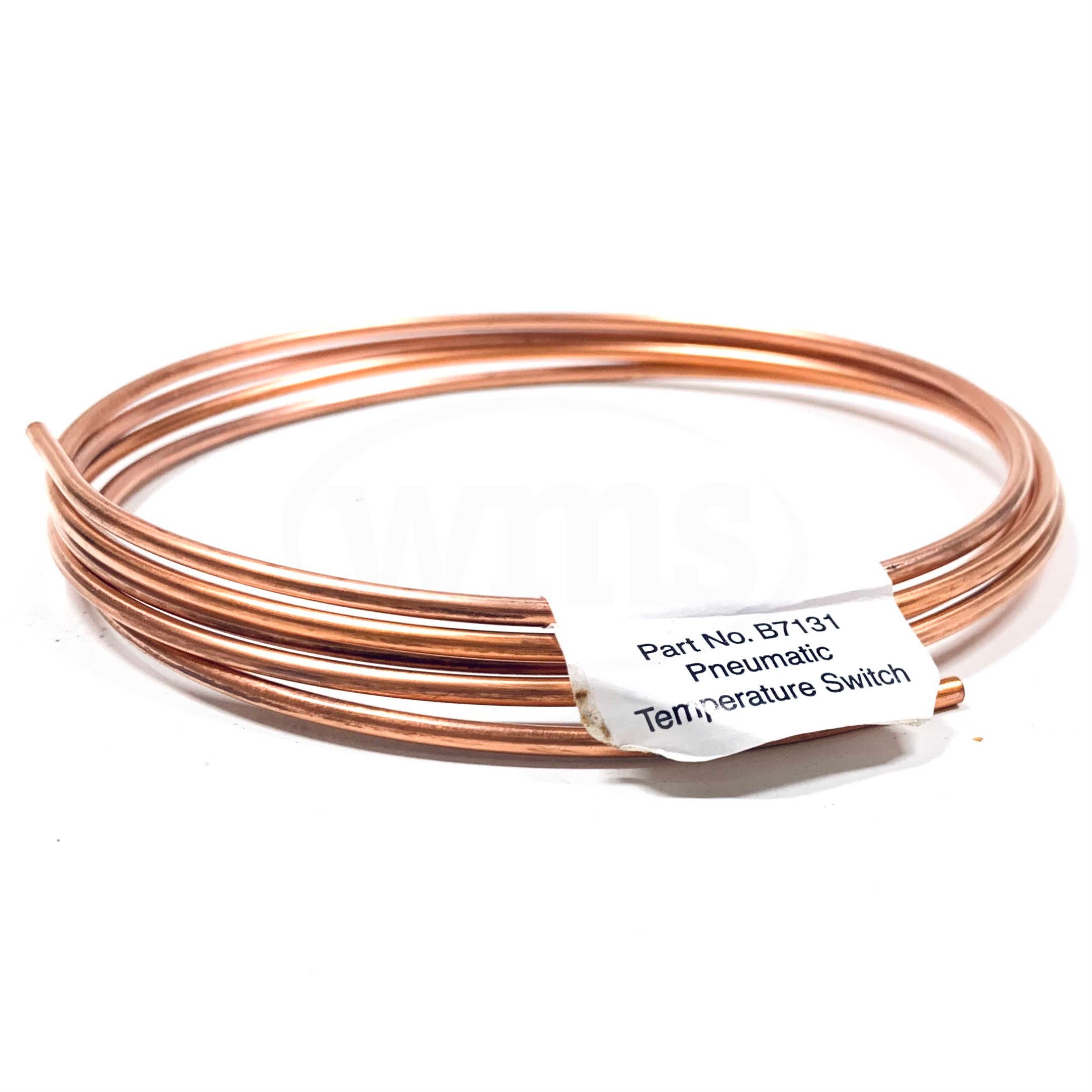 B7131 Armstrong Pneumatic Temperature Switch