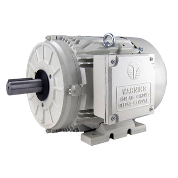 BK3-CI-TF-324T-6-BR-G-25 Techtop 25HP Oil Pump Electric Motor, 1200RPM