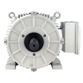 BK3-CI-TF-365T-6-BR-G-50 Techtop 50HP Oil Pump Electric Motor, 1200RPM - 0