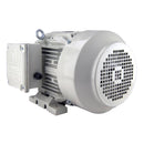 BK3-CI-TF-405T-6-RR-G-75 Techtop 75HP Oil Pump Electric Motor, 1200RPM-3