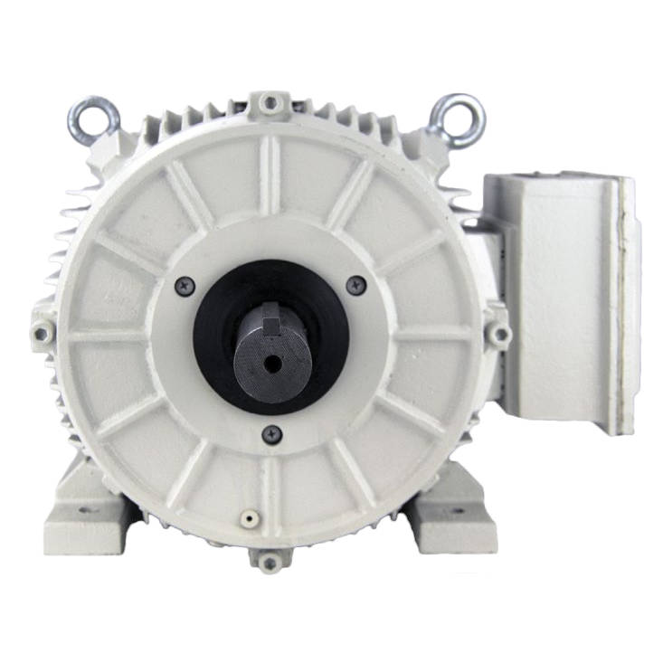 BK3-CI-TF-444T-6-RR-G-75 Techtop 75HP Oil Pump Electric Motor, 1200RPM - 0